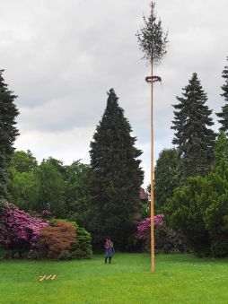 Náhodná fotogalerie